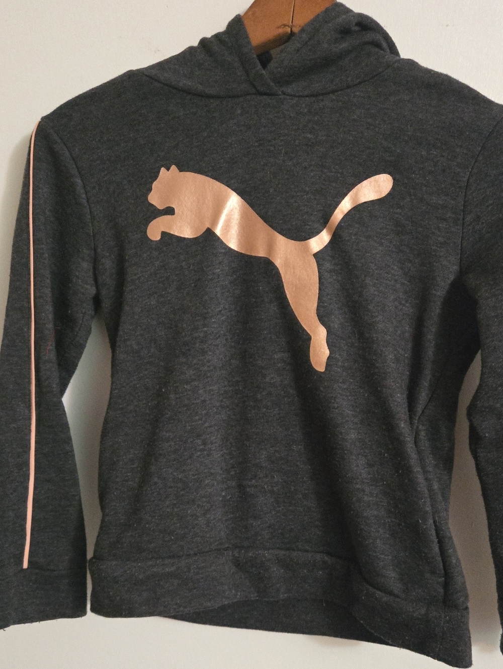 Girls Puma Charcoal Hoodie with Metallic Rose Gold Puma Cat Logo